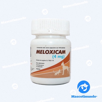 meloxicam genérico