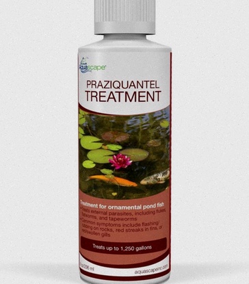 praziquantel