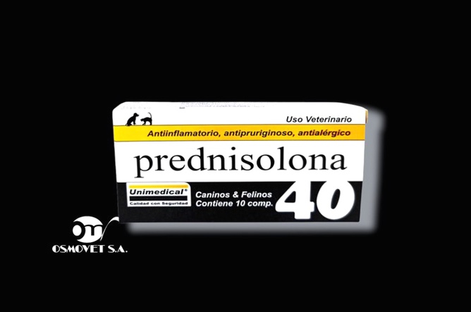 prednisolona